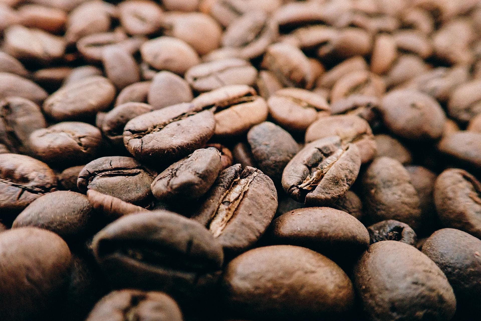 Primer plano de granos de café tostado de alta calidad