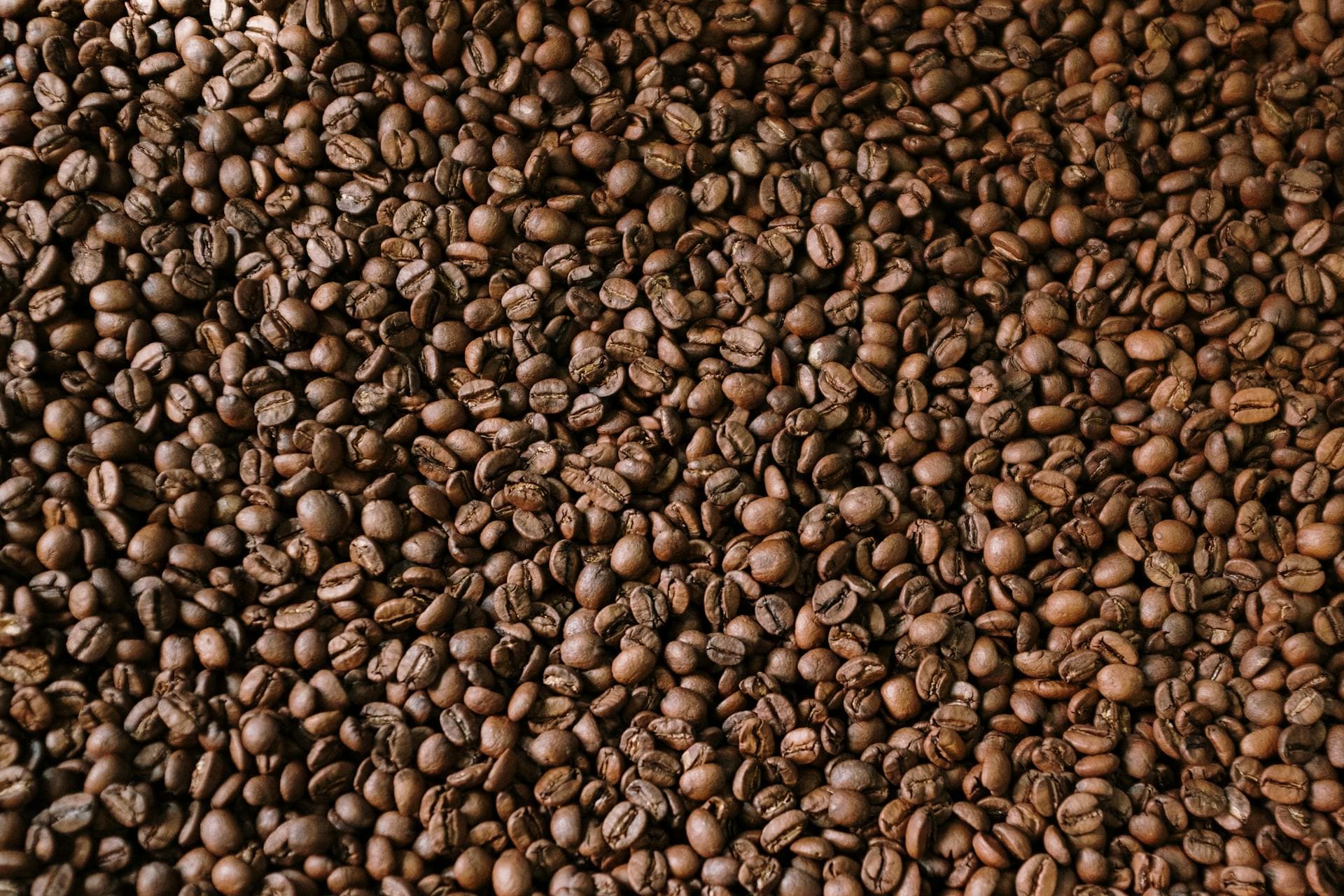 Fondo de granos de café tostado de alta calidad vistos en primer plano